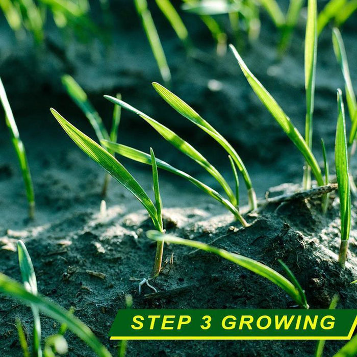 Bio Degradable Garden Grass Mats