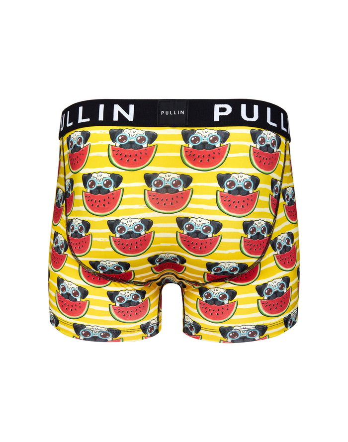 boxer court dogmelon PULLIN en lycra