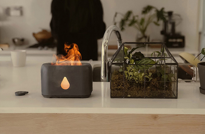 Flame humidifier
