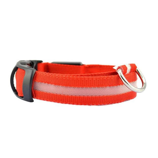 Orange / S