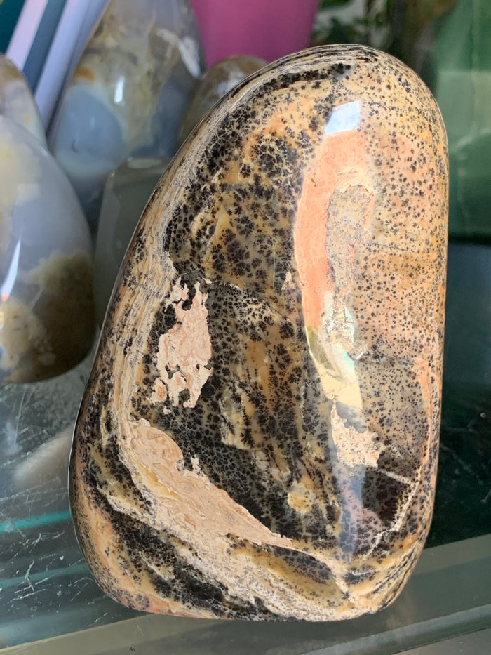 Snake Skin Jasper