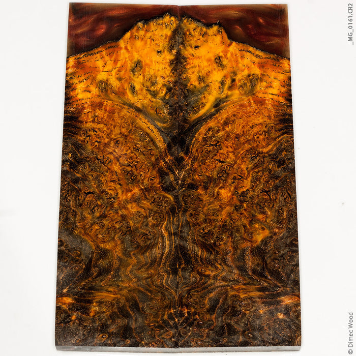 Stabilized hybrid wood black ash burl panels