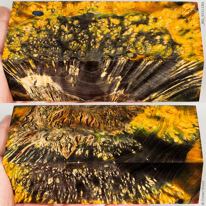 Stabilized wood box elder burl block