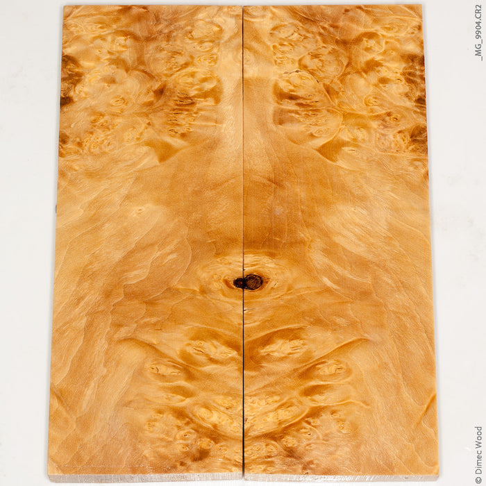 Stabilized wood box elder burl panels