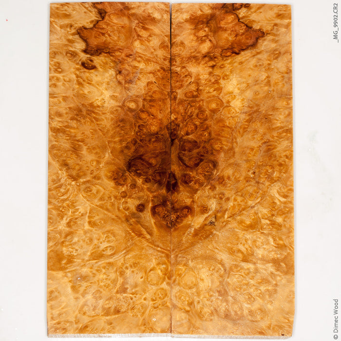 Stabilized wood box elder burl panels