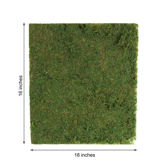 Artificial grass mat, 18x16 inches, perfect for crafting and home decor.