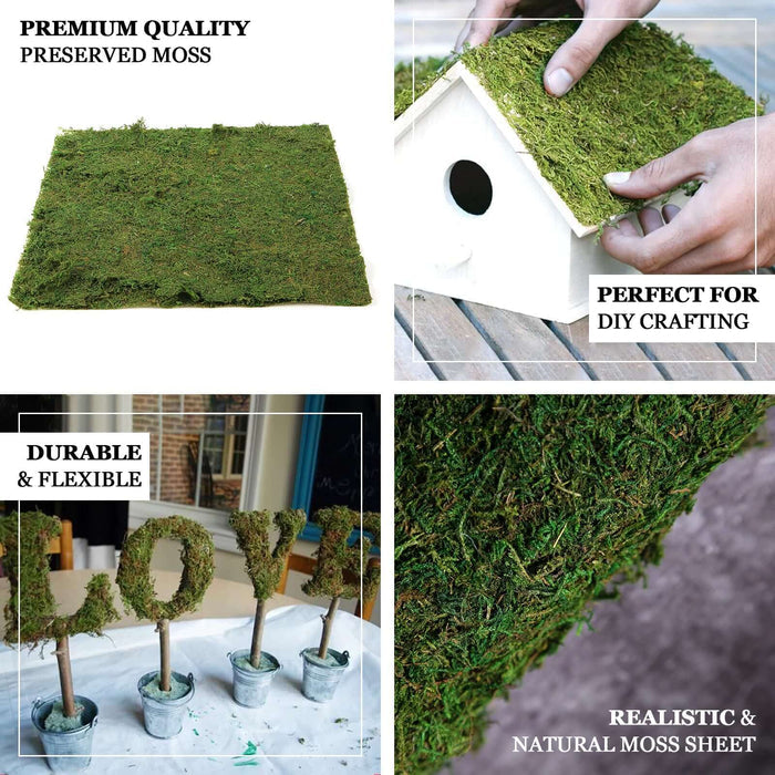 Premium quality preserved moss for DIY crafting, durable and flexible.