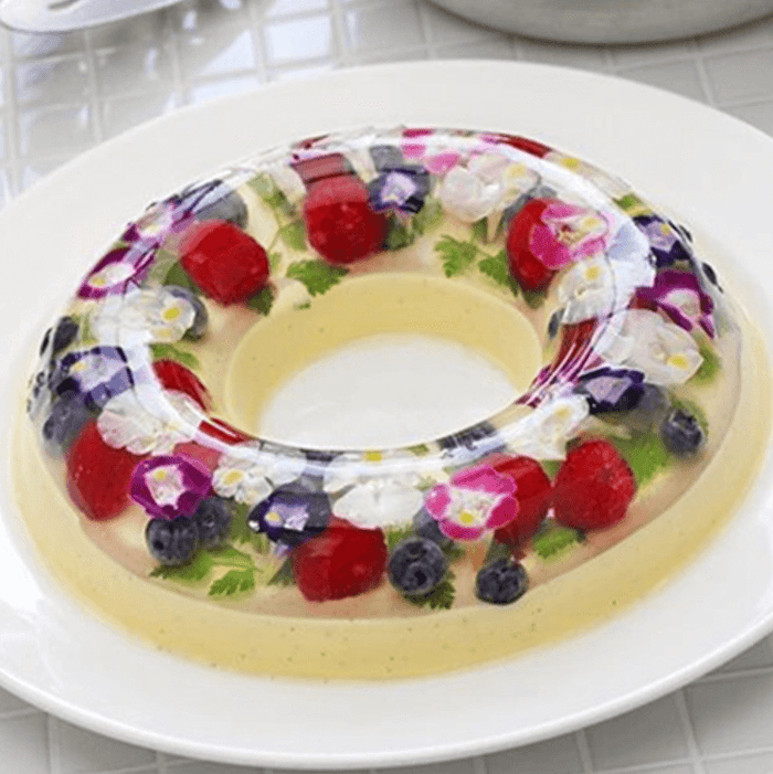 3D Gelatin Art Starter Set