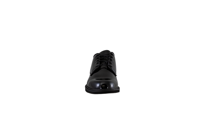 Ambassador Hi-Gloss