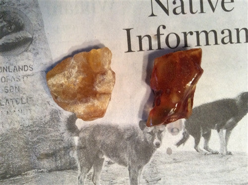 Amber Discovery Kit - Polish Real Amber - 25 pcs - dinosaursrocksuperstore