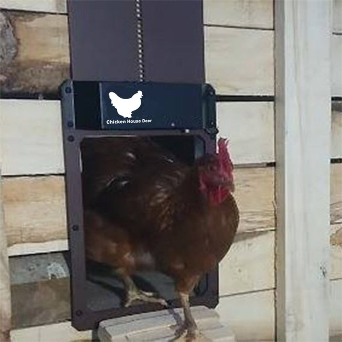 Automatic chicken coop door