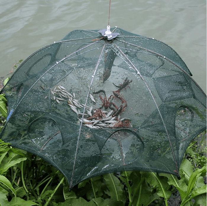 Automatic fishing net