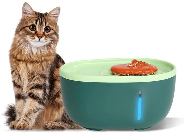 Avocado Water Fountain