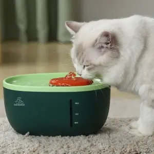 Avocado Water Fountain