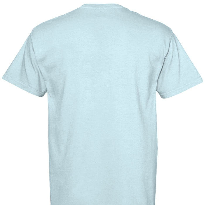 CHAMBRAY - BACK