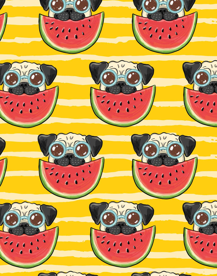 boxer court dogmelon PULLIN en lycra