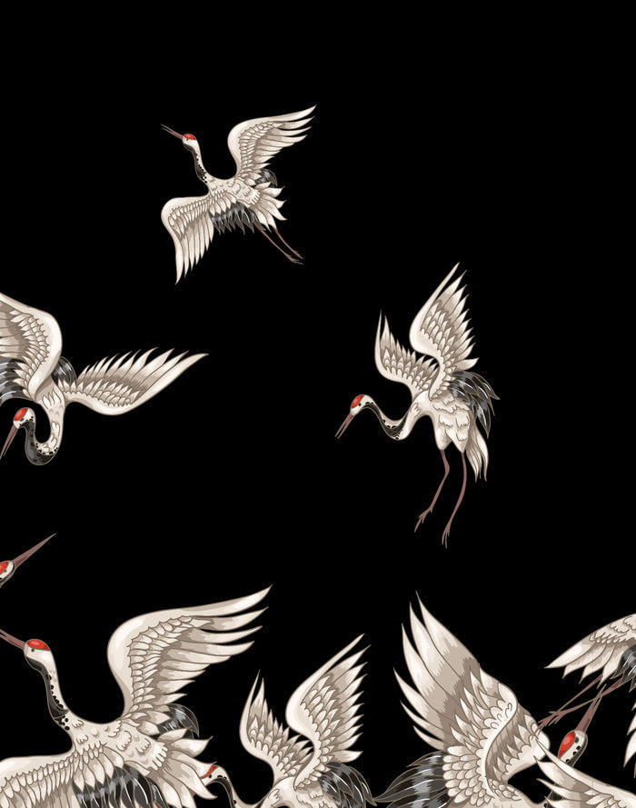 boxer long birdsss PULLIN en lycra