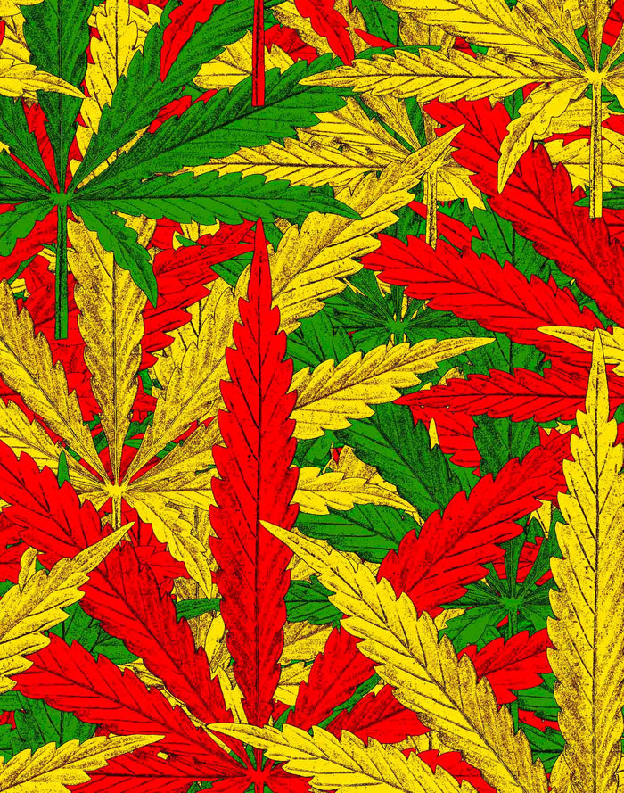boxer long rastaman PULLIN en lycra