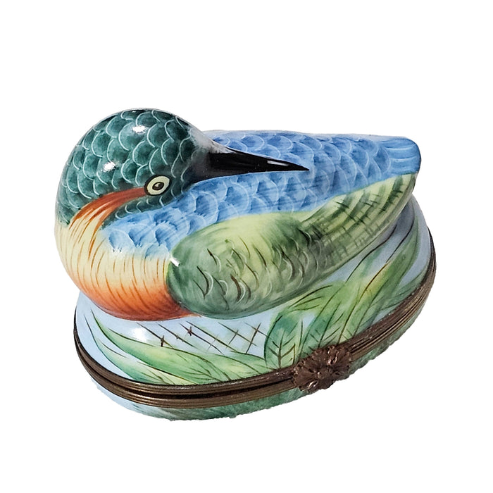 Vibrant Hand-Painted Bird Box Porcelain Limoges Bird Birds French Trinket Box