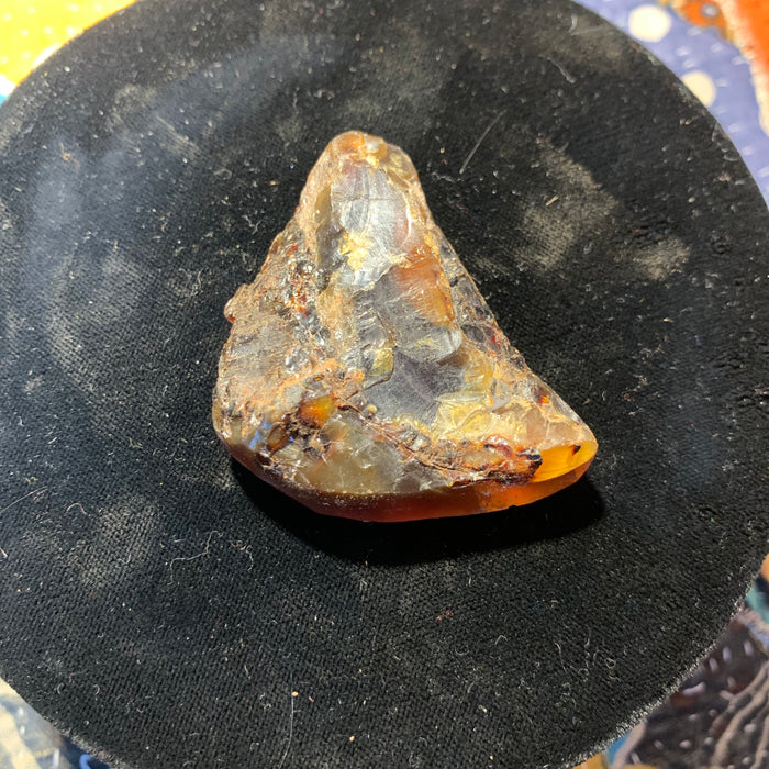 Carving: Amber Lizard