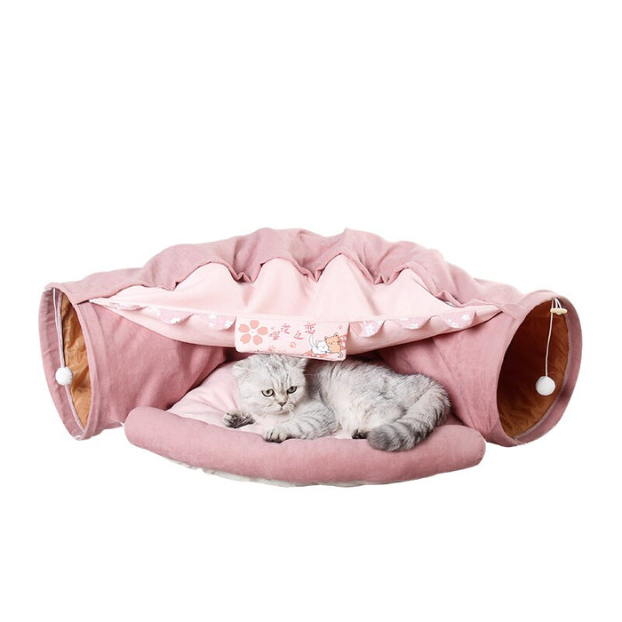 Cat Cav