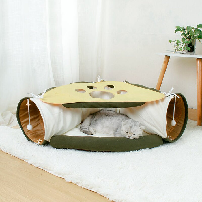 Cat Cav
