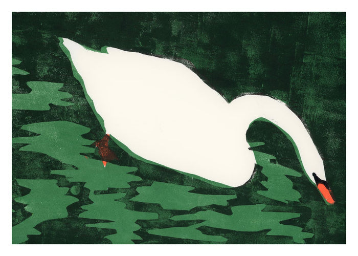 Cisne Blanco by Marina García Fernández