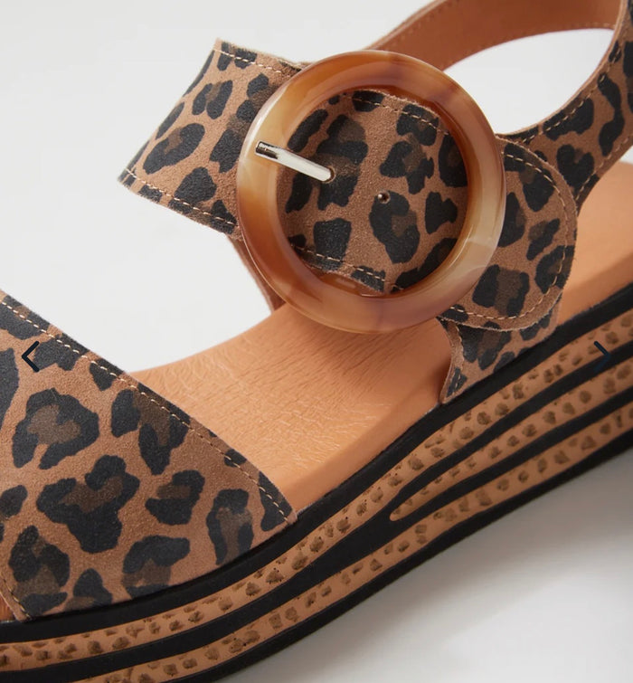 Django & Juliette Cubbie Camel Leopard- Suede