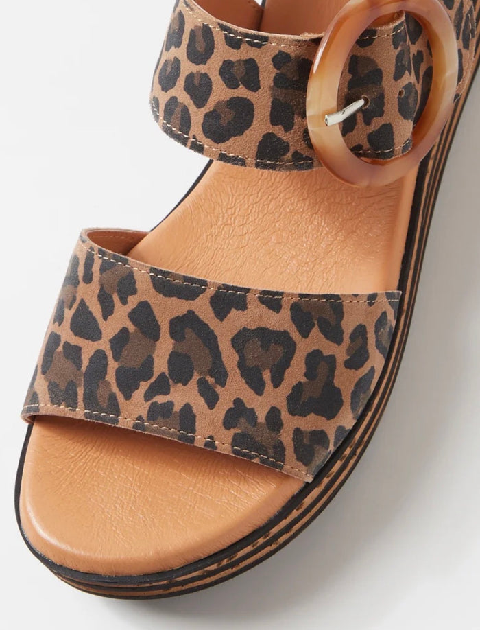 Django & Juliette Cubbie Camel Leopard- Suede