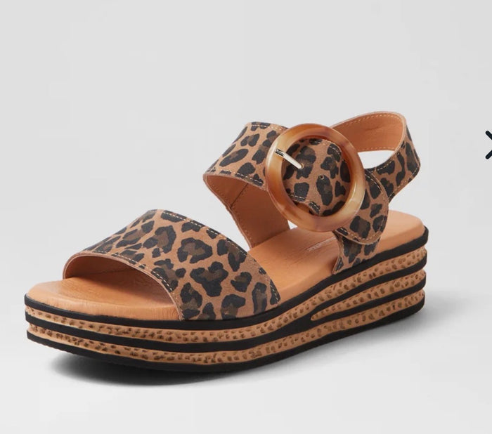 Django & Juliette Cubbie Camel Leopard- Suede
