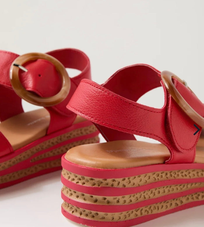 Django & Juliette Cubbie Red Leather