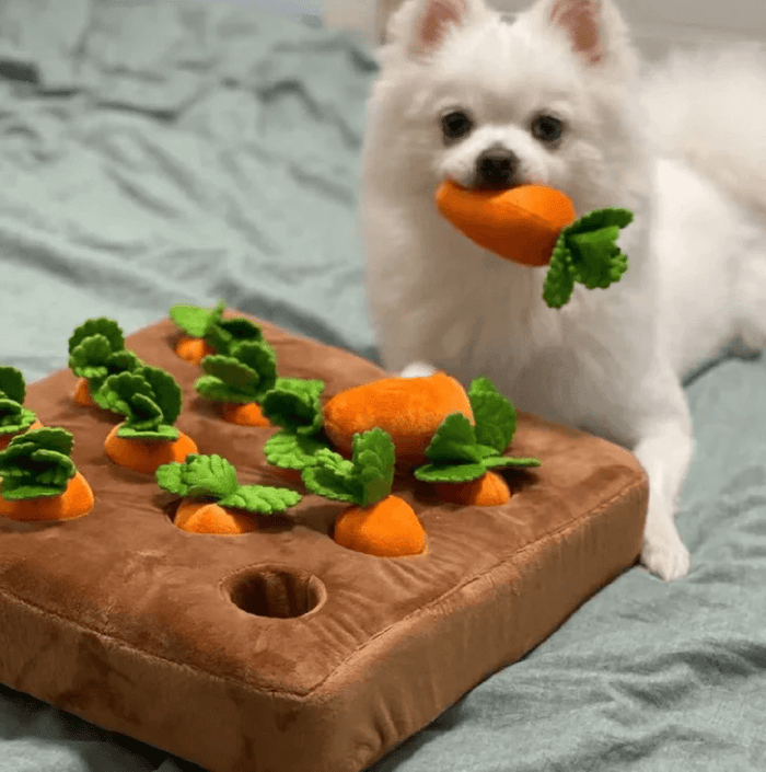 Dog Carrot Plush Toy