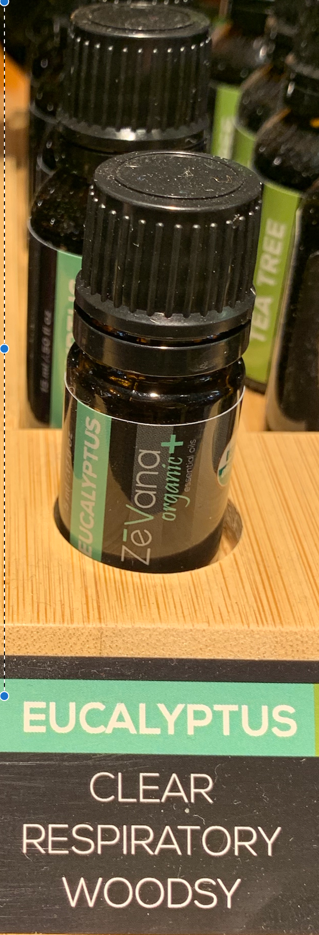 Eucalyptus Organic Essential Oil