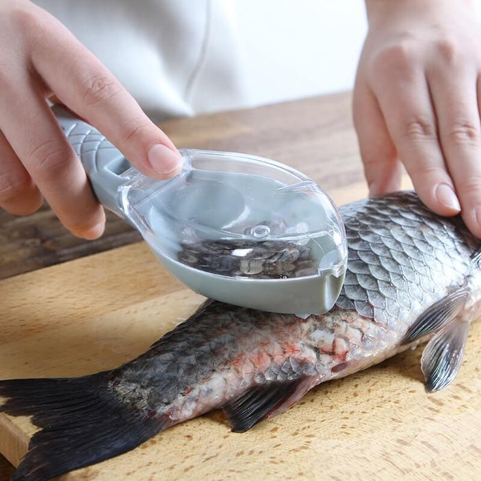 Fish scaler brush