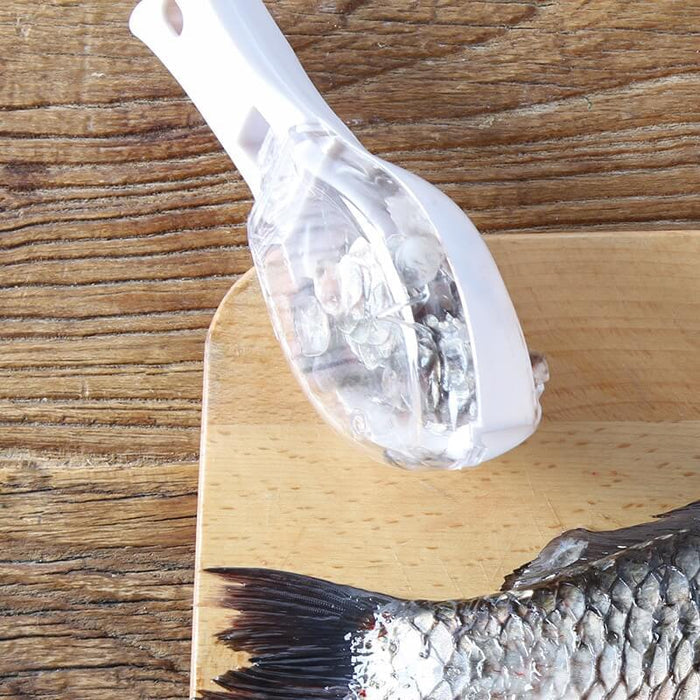 Fish scaler brush