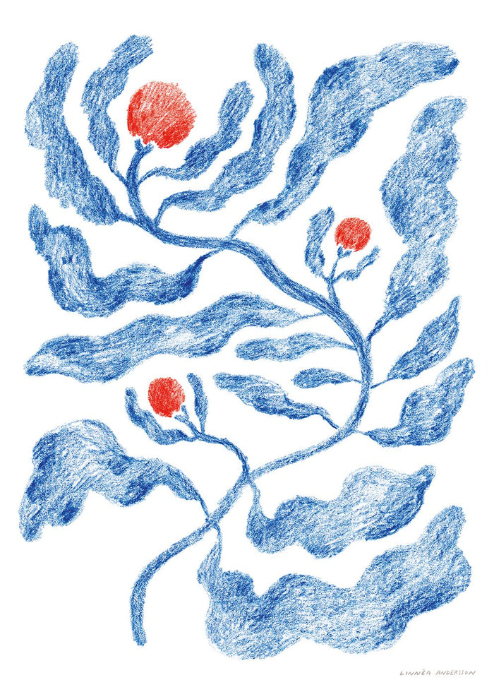 Fruits by Linnéa Andersson