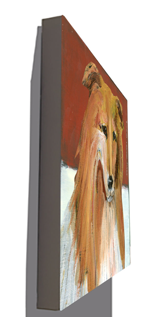 Gallery Grand - Dog Face - Collie