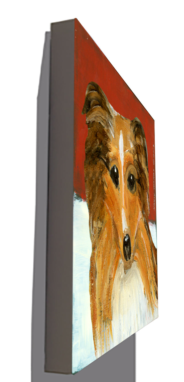 Gallery Grand - Dog Face - Sheltie