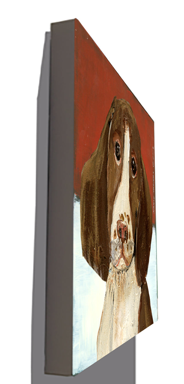 Gallery Grand - Dog Face - Springer Spaniel