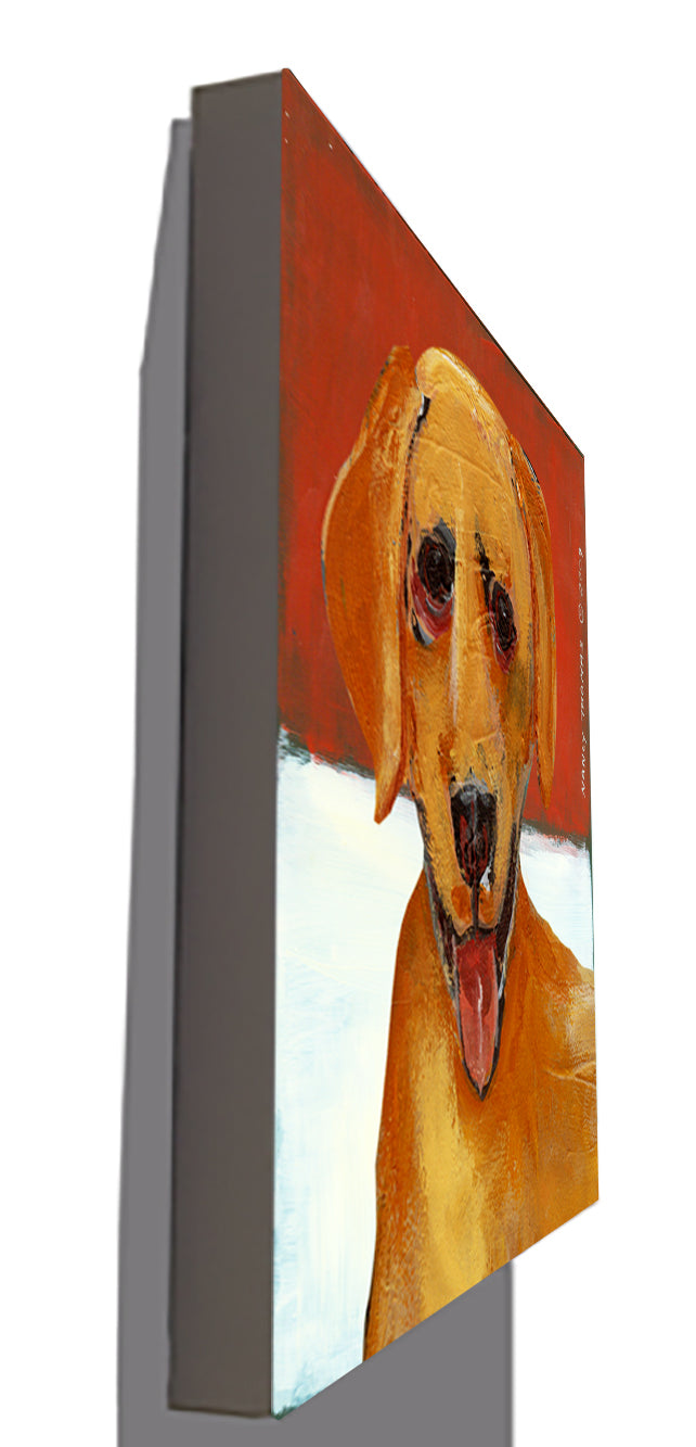 Gallery Grand - Dog Face - Yellow Lab