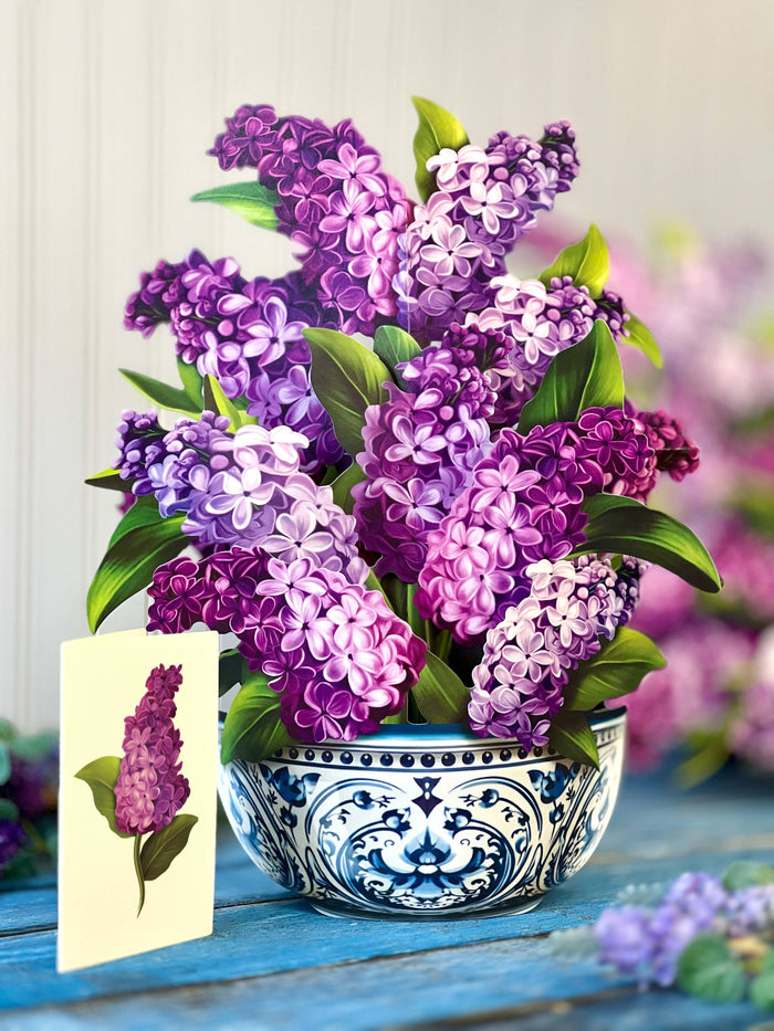 Garden Lilacs  |  Pop-up Greeting Cards