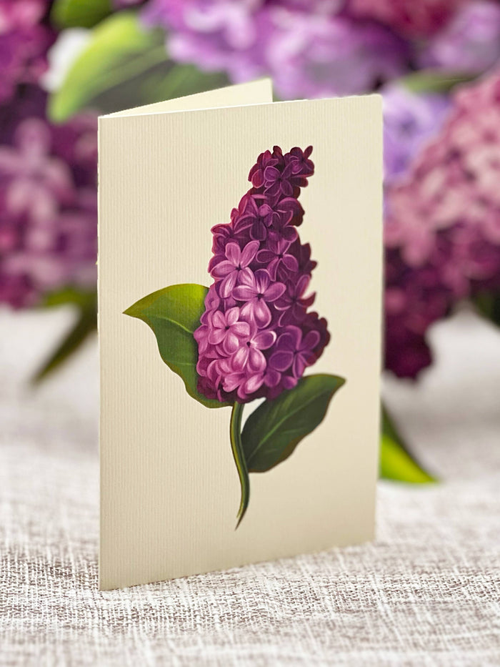 Garden Lilacs  |  Pop-up Greeting Cards