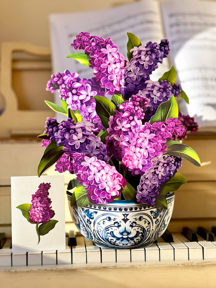 Garden Lilacs  |  Pop-up Greeting Cards