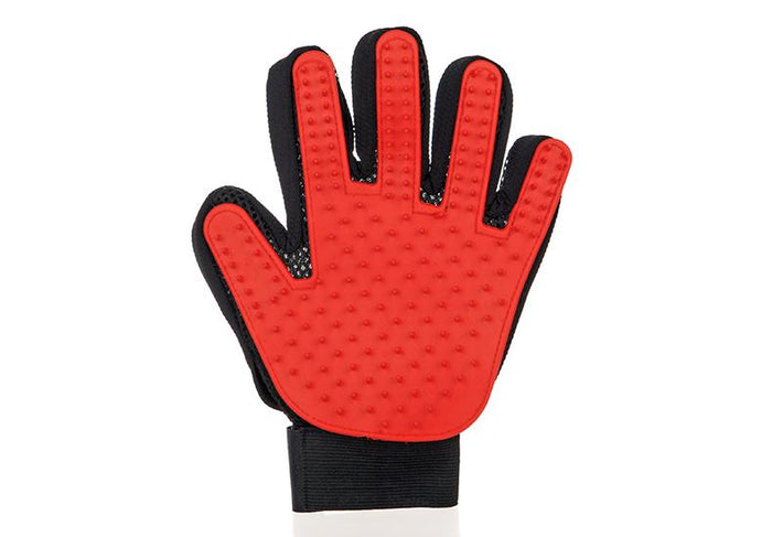 Ed / Left hand