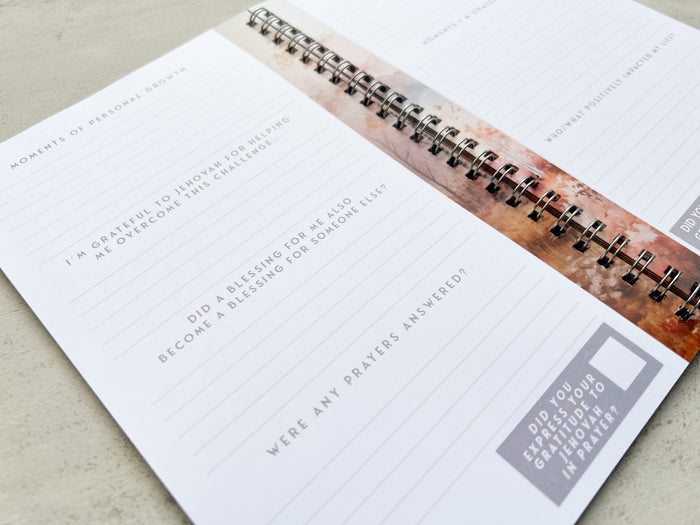 Gratitude Journal - GINGERS