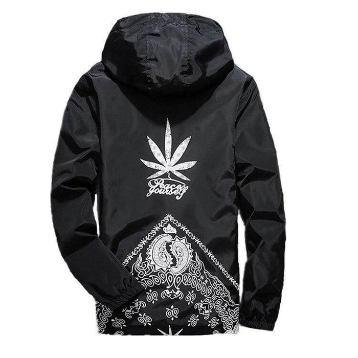 Hooded Windbreaker Jacket