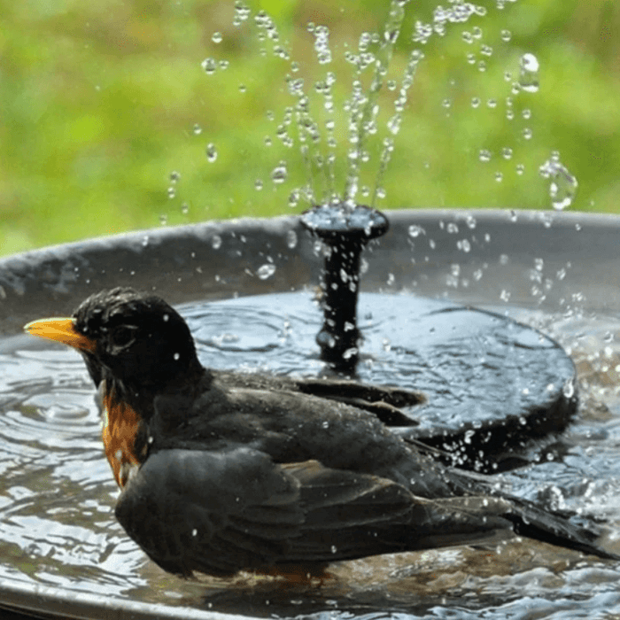 LED Solar Water Fountain