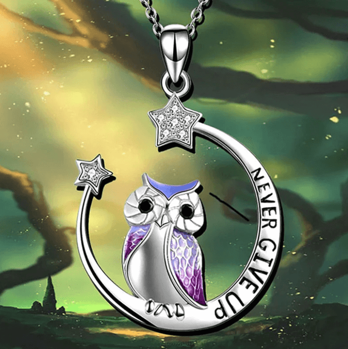 Never Give Up Wise Owl Necklace
