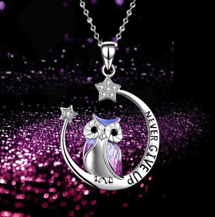Never Give Up Wise Owl Necklace
