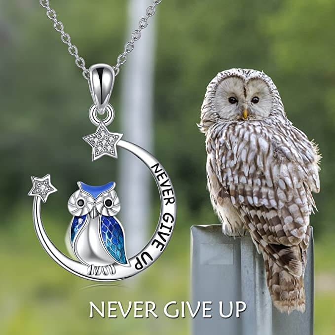 Never Give Up Wise Owl Necklace